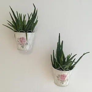 Apartment Nigler 